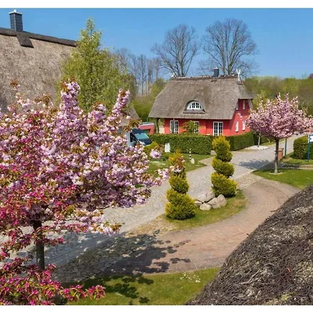 Duxcaar La Comfortable *